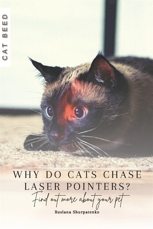 Why do cats chase laser pointers?: Find out more about your pet (Paperback)