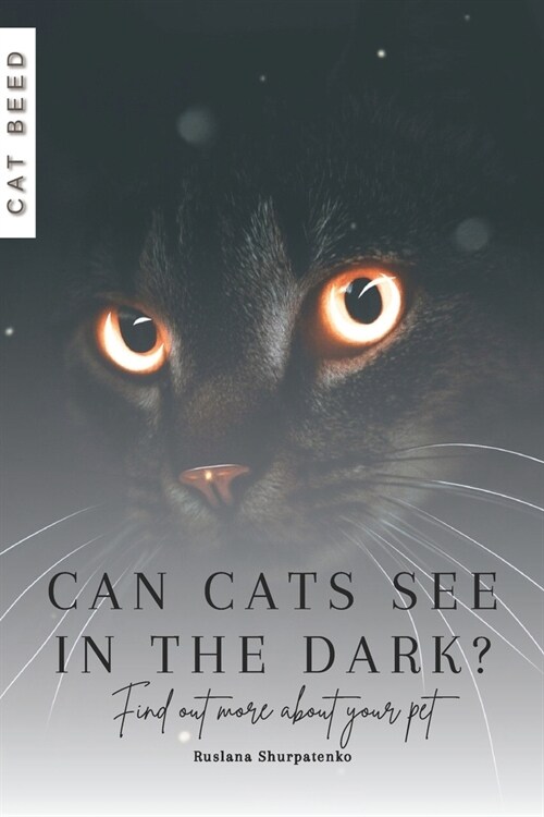 Can cats see in the dark?: Find out more about your pet (Paperback)