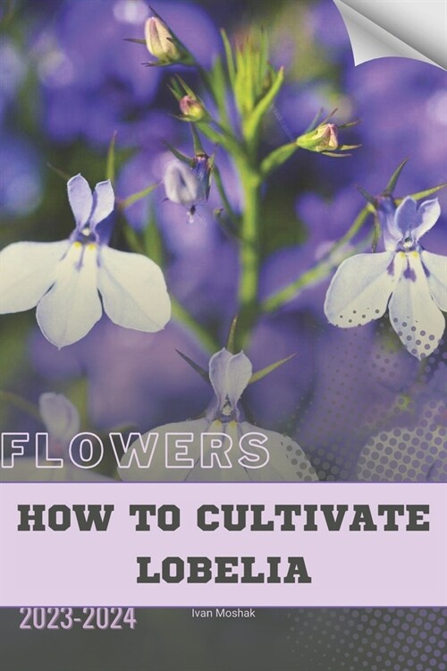 How to Cultivate Lobelia: Become flowers expert (Paperback)