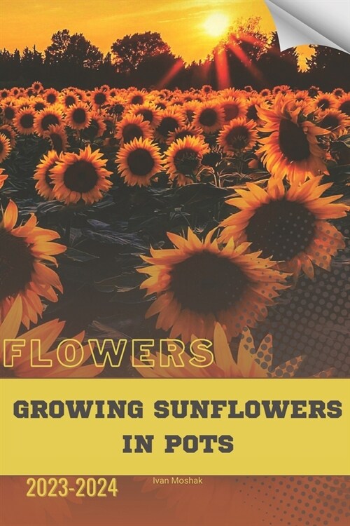 Growing Sunflowers in Pots: Become flowers expert (Paperback)