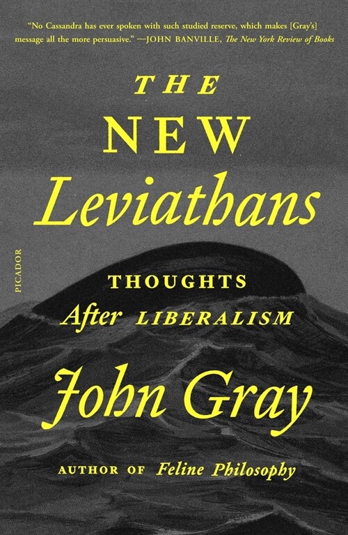 The New Leviathans: Thoughts After Liberalism (Paperback)