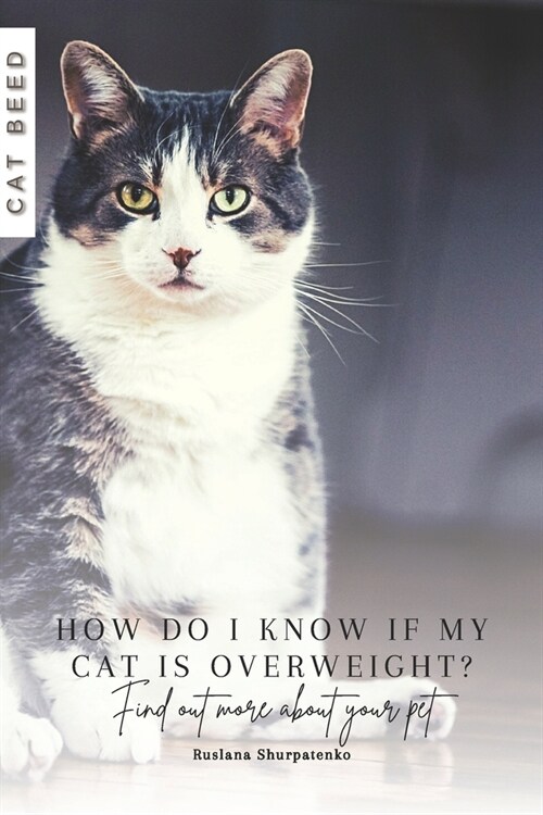 How do I know if my cat is overweight?: Find out more about your pet (Paperback)