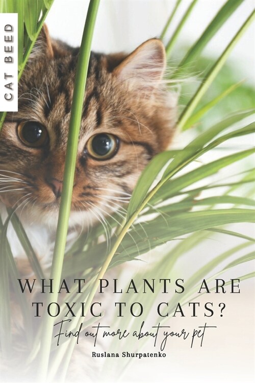 What plants are toxic to cats?: Find out more about your pet (Paperback)