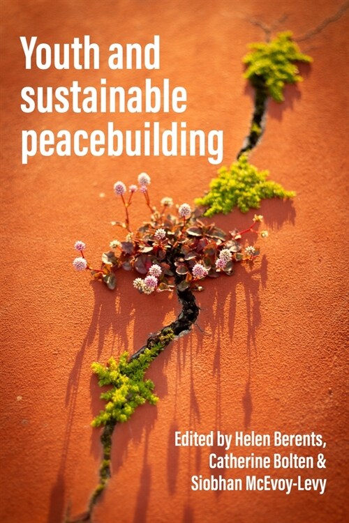 Youth and Sustainable Peacebuilding (Hardcover)