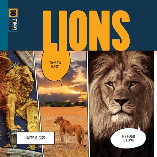 Lions (Paperback)