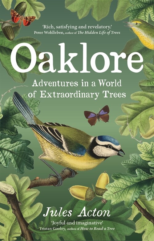 Oaklore: Adventures in a World of Extraordinary Trees (Hardcover)