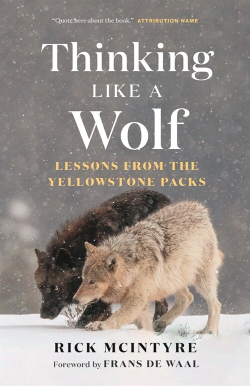 Thinking Like a Wolf: Lessons from the Yellowstone Packs (Hardcover)