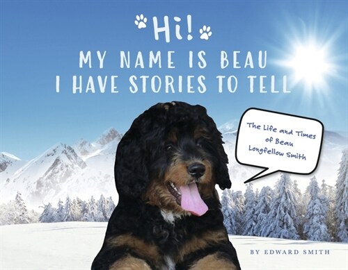 Hi! My Name Is Beau I Have Stories to Tell: The Life and Times of Beau Longfellow Smith Volume 1 (Paperback)