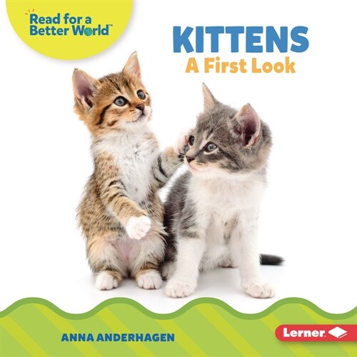 Kittens: A First Look (Library Binding)