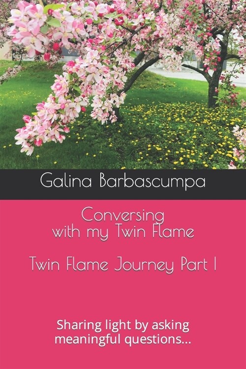 Conversing with my Twin Flame: Sharing light by asking meaningful questions... (Paperback)