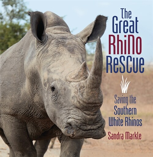 The Great Rhino Rescue: Saving the Southern White Rhinos (Paperback)