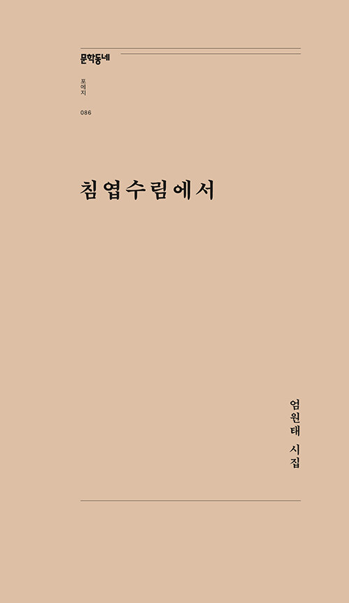 침엽수림에서