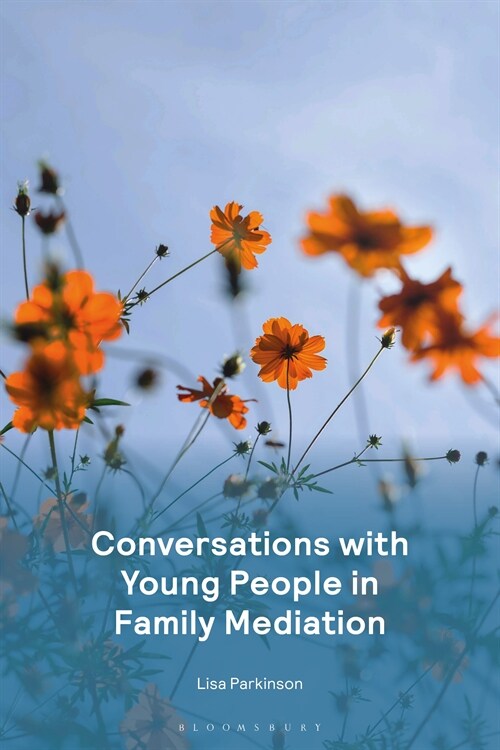 Conversations with Young People in Family Mediation (Paperback)