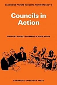 Councils in Action (Paperback)