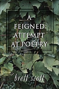 A Feigned Attempt at Poetry (Paperback)