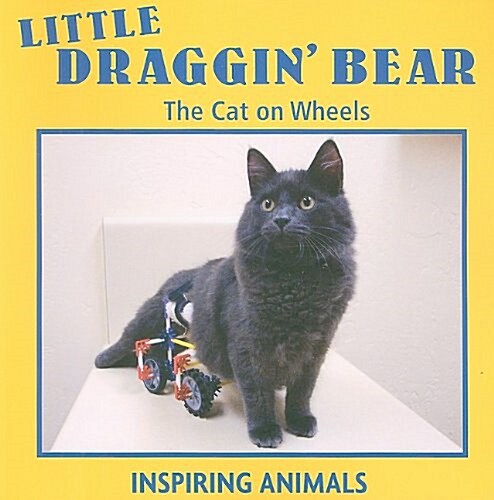 Little Draggin Bear (Paperback)