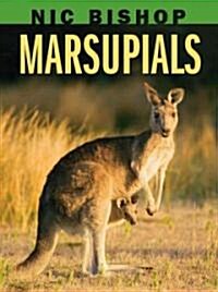 Nic Bishop: Marsupials (Hardcover)