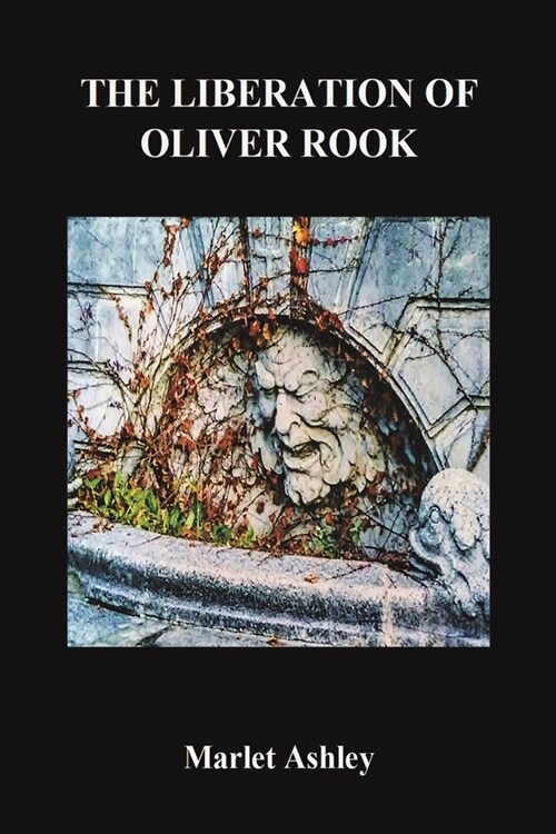 The Liberation of Oliver Rook (Paperback)