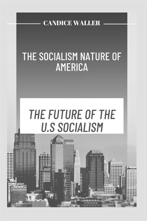 The Socialism Nature of America: The Future of the U.S Socialism (Paperback)