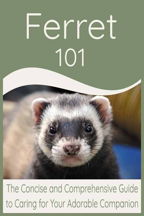Ferret 101: The Concise and Comprehensive Guide to Caring for Your Adorable Companion (Paperback)
