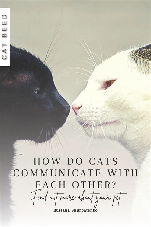 How do cats communicate with each other?: Find out more about your pet (Paperback)