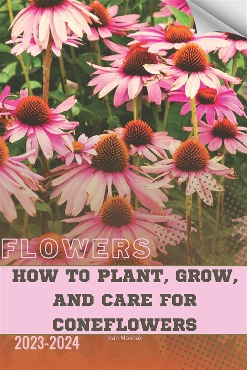 How to Plant, Grow, and Care For Coneflowers: Become flowers expert (Paperback)