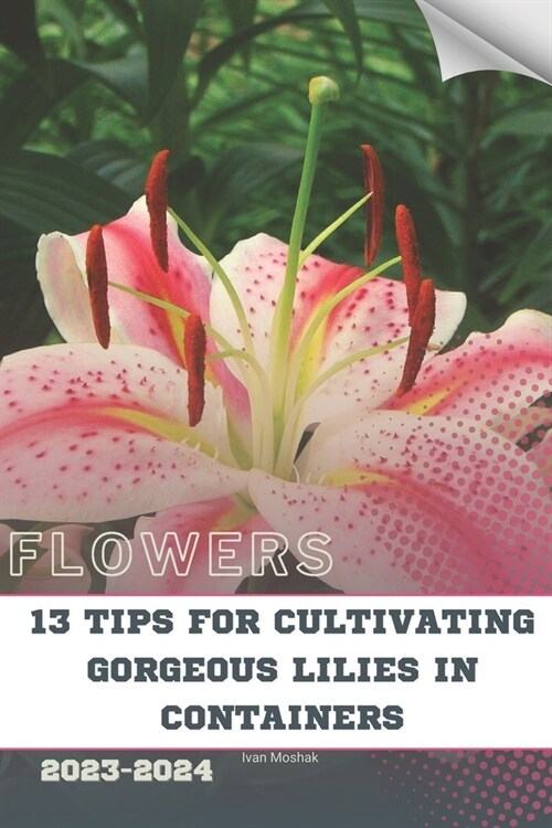 13 Tips For Cultivating Gorgeous Lilies in Containers: Become flowers expert (Paperback)