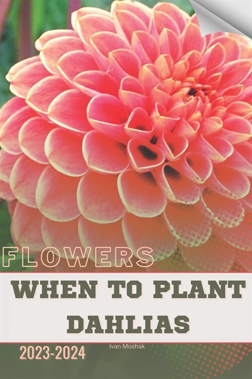 When To Plant Dahlias: Become flowers expert (Paperback)