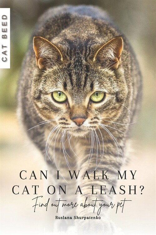 Can I walk my cat on a leash?: Find out more about your pet (Paperback)