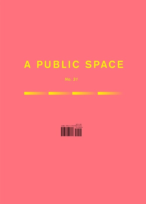 A Public Space No. 31 (Paperback)