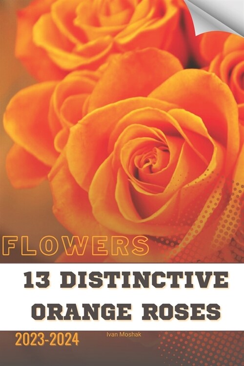 13 Distinctive Orange Roses: Become flowers expert (Paperback)