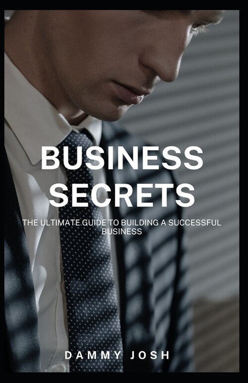 Business Secrets: The Ultimate Guide to Building a Successful Business (Paperback)