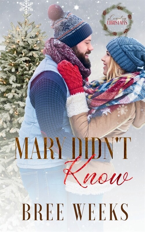 Mary Didnt Know: A Holiday, Instalove Romance (Paperback)