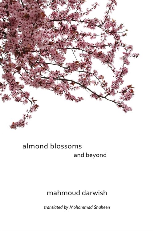 Almond Blossoms and Beyond (Paperback)