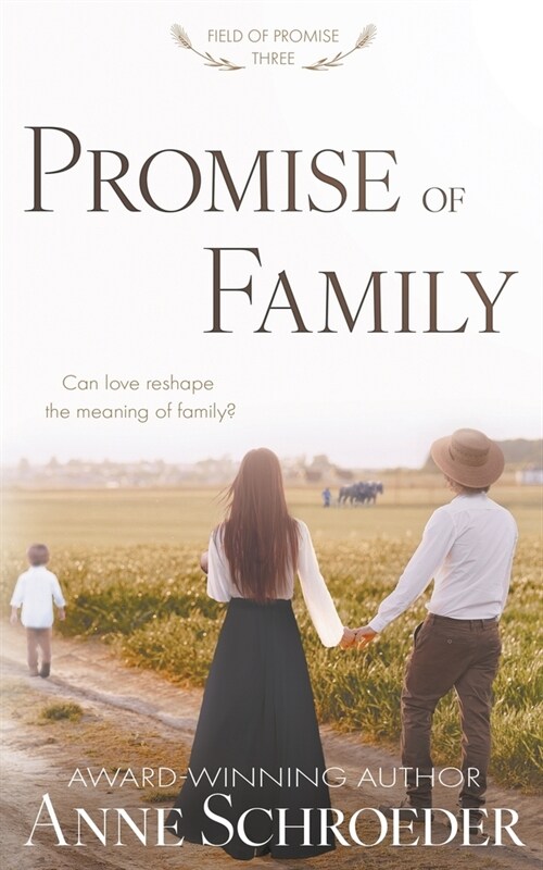 Promise of Family: A Non-Traditional Contemporary Amish Romance (Paperback)