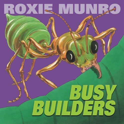 Busy Builders (Paperback)