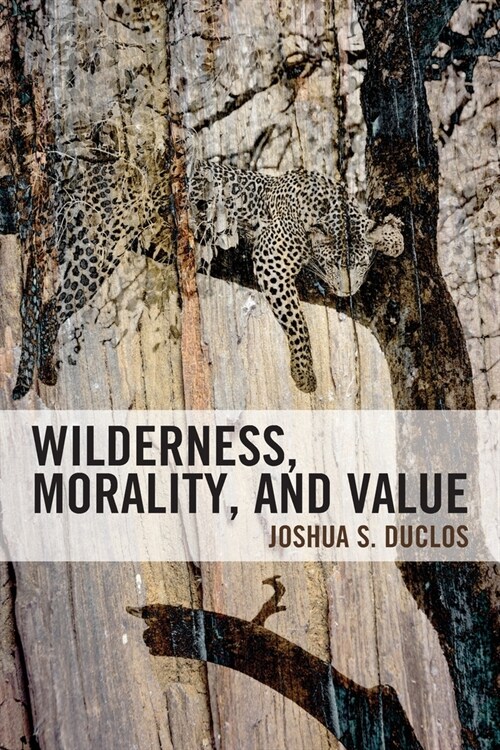 Wilderness, Morality, and Value (Paperback)