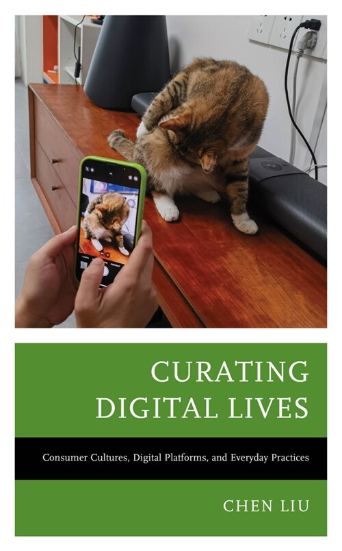 Curating Digital Lives: Consumer Cultures, Digital Platforms, and Everyday Practices (Hardcover)