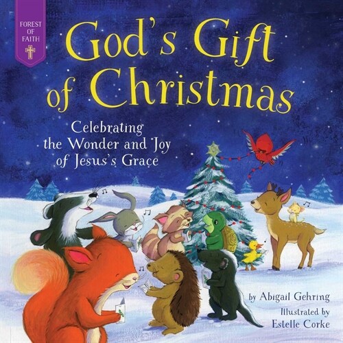 Gods Gift of Christmas: Celebrating the Wonder and Joy of Jesuss Grace (Hardcover)