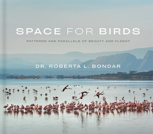 Space for Birds: Patterns and Parallels of Beauty and Flight (Hardcover)