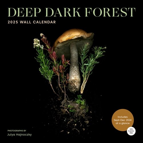 Deep Dark Forest 2025 Wall Calendar (Wall)