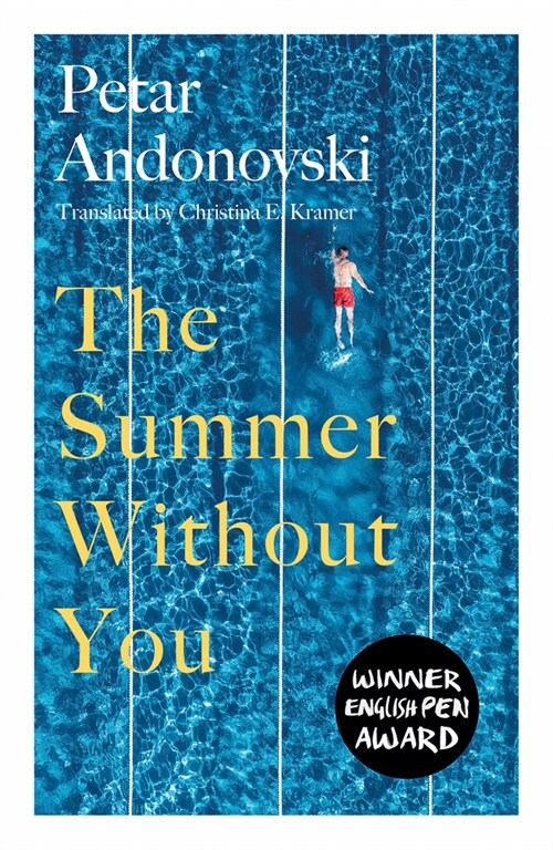 The Summer Without You (Paperback)