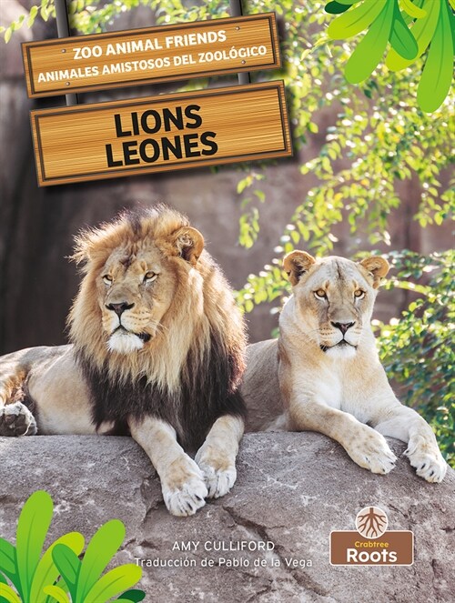 Lions (Leones) Bilingual Eng/Spa (Paperback)