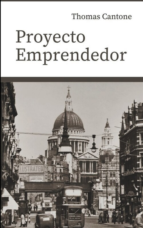 Proyecto Emprendedor (Paperback)