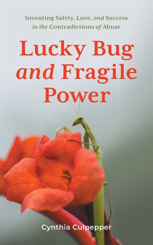 Lucky Bug and Fragile Power: Inventing Safety, Love, and Success in the Contradictions of Abuse (Paperback)