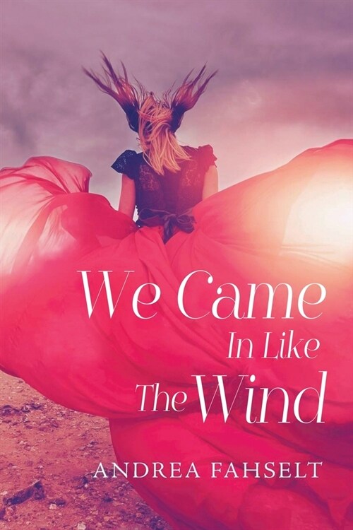 We Came In Like The Wind (Paperback)