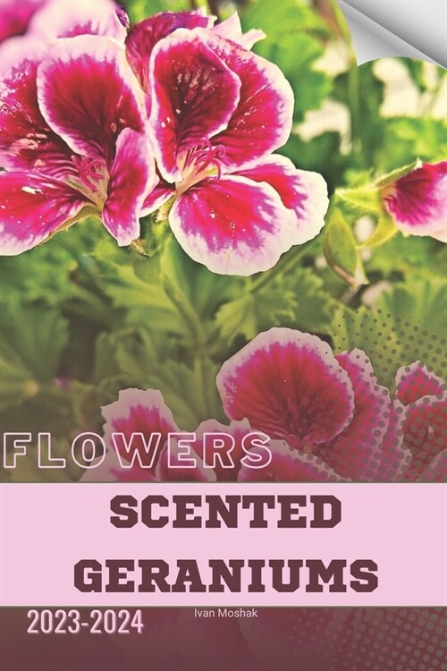 Scented Geraniums: Become flowers expert (Paperback)