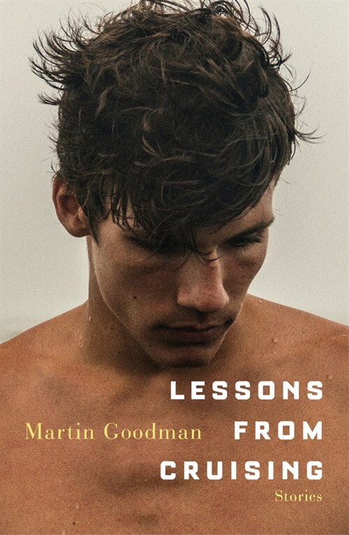 Lessons from Cruising (Paperback)