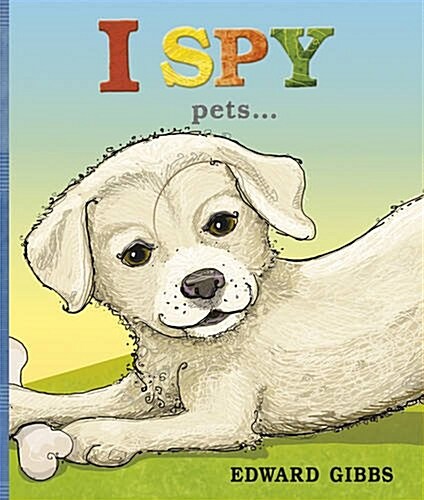 I Spy Pets (Paperback)