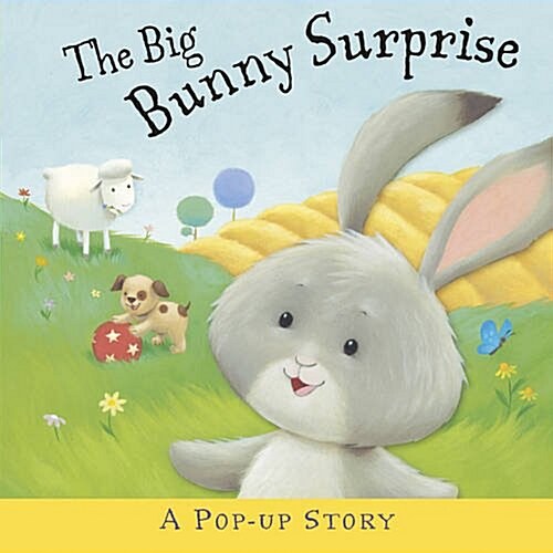 The Big Bunny Surprise (Hardcover)